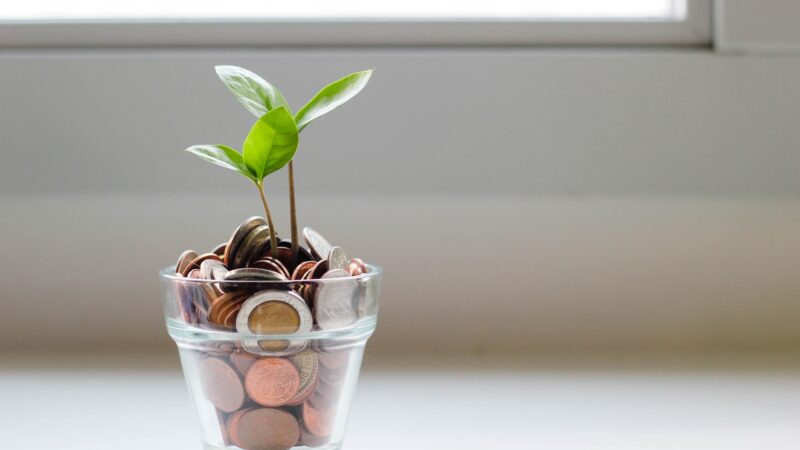 Burde du investere dine penge eller gemme dem i banken?