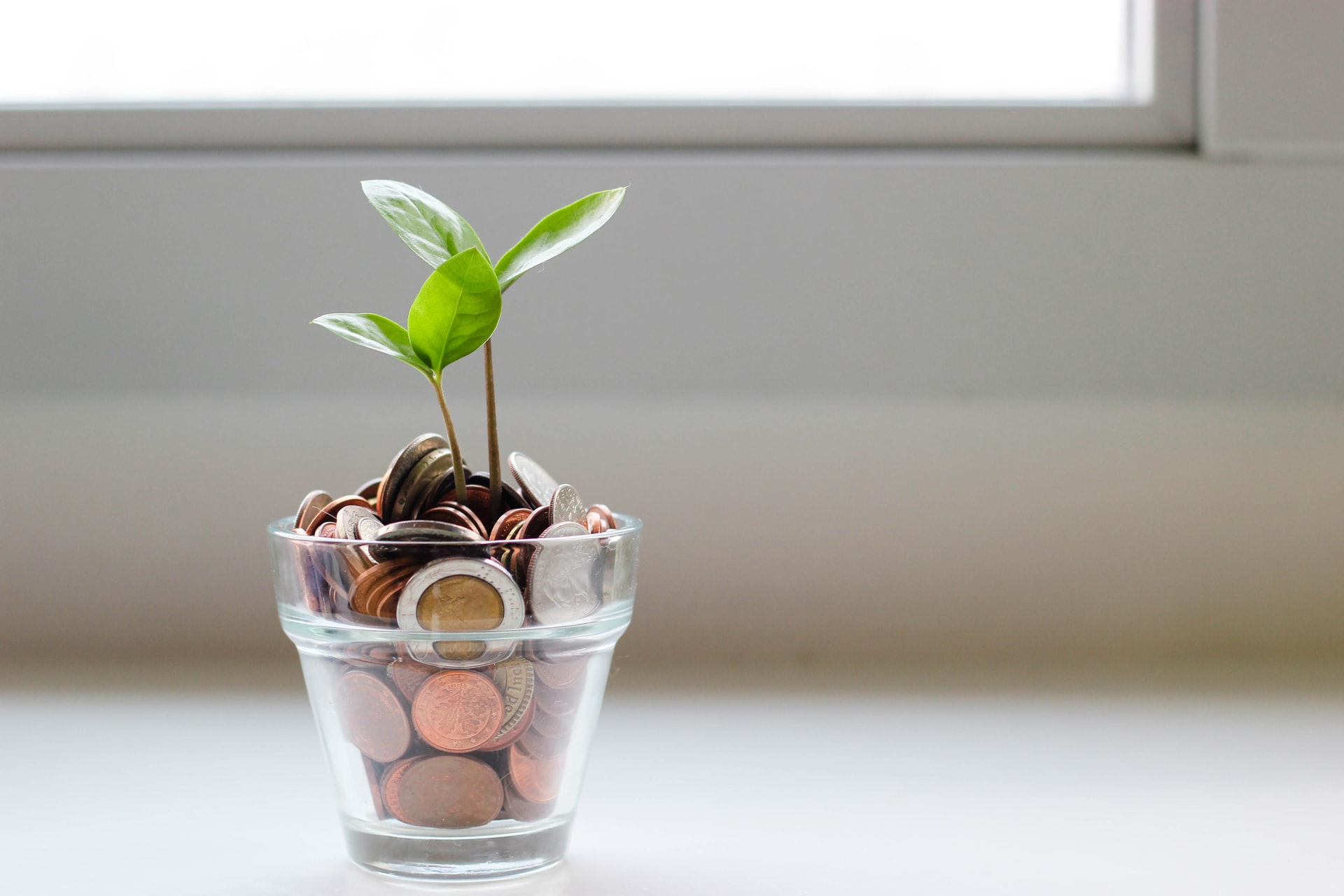 Burde du investere dine penge eller gemme dem i banken?